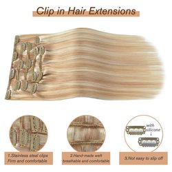 Golden Brown/Blonde(#F12-613) Premium Straight Clip In Hair Extensions 7 Pieces - Zever Hair