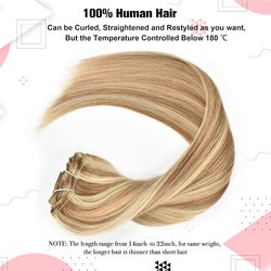 Ash/White Blonde(#P18-613) Premium Straight Clip In Hair Extensions 7 Pieces - Zever Hair